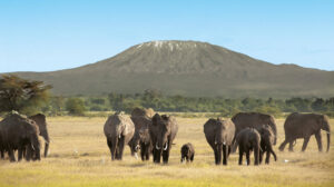 montagna-africa