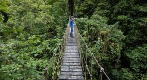 turista-uomo-ponte-natura-alberi